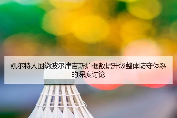 凯尔特人围绕波尔津吉斯护框数据升级整体防守体系的深度讨论